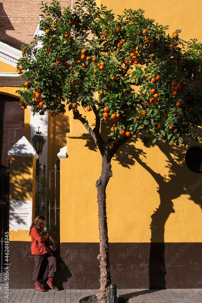 Orange tree and waiting woman: Plaza de San Martín, Sevilla, Andalusia, Spain