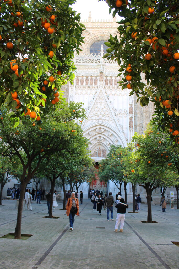 SEVILLA CATHEDRAL AND GIRALDA TOUR 5 f3949824